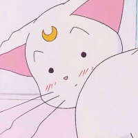  我愿意我愿意为你